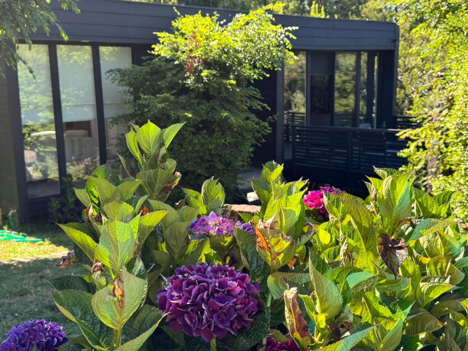 Gaestehaus, Pucon, Hostels, A Cozy Space Homestay